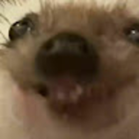 Meet your Posher, Kelly - Picture 1 of 1